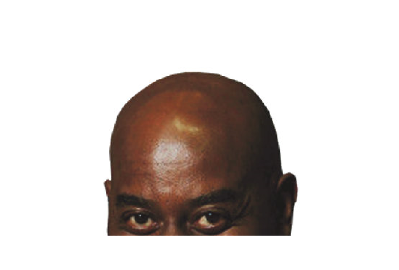 Close-up - HD Wallpaper 