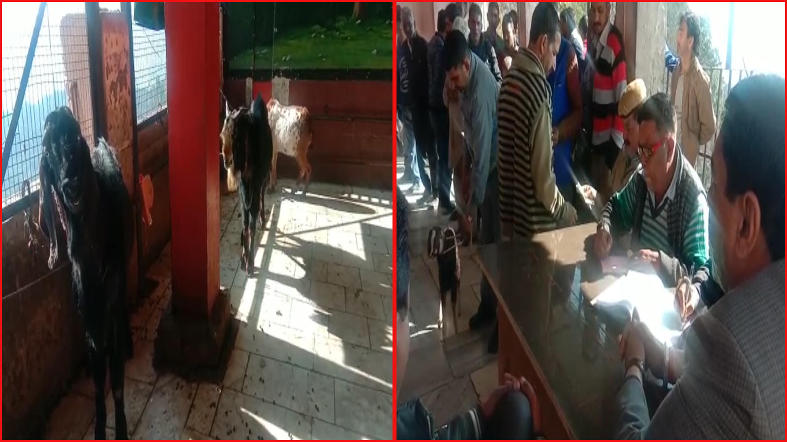 Himachal Pradesh - HD Wallpaper 