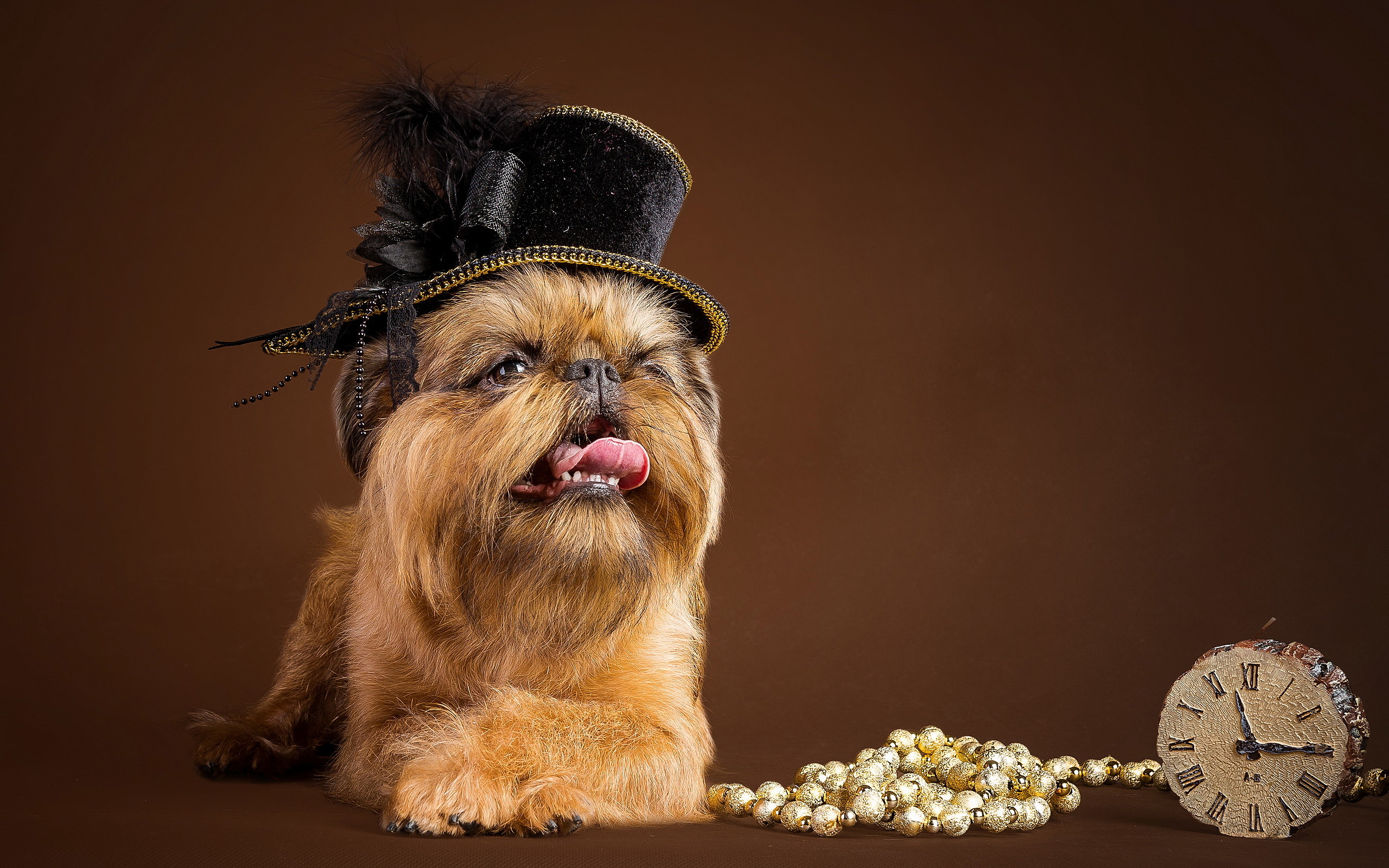 Wallpaper - HD Wallpaper 