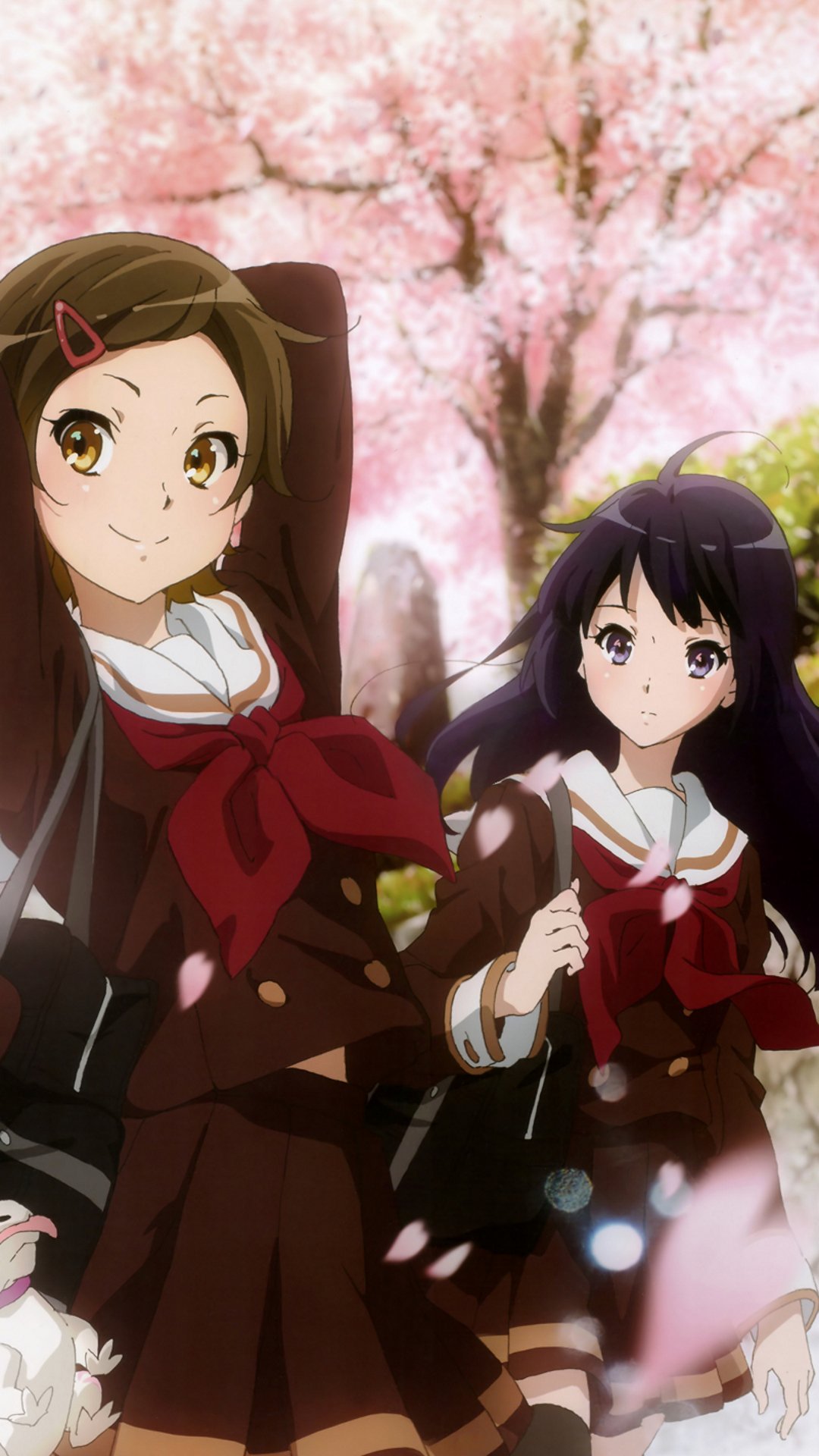 Hibike Euphonium Reina Kousaka Hazuki Katou - Hibike Euphonium Wallpaper Hd - HD Wallpaper 