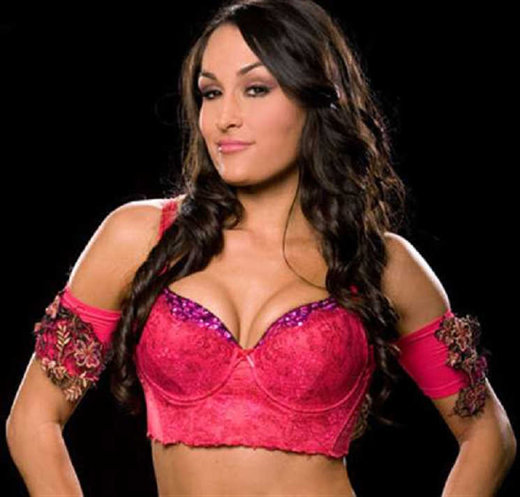 Brie Bella Hd Wallpapers Free Download - Wwe Ladies Fighter Name - HD Wallpaper 