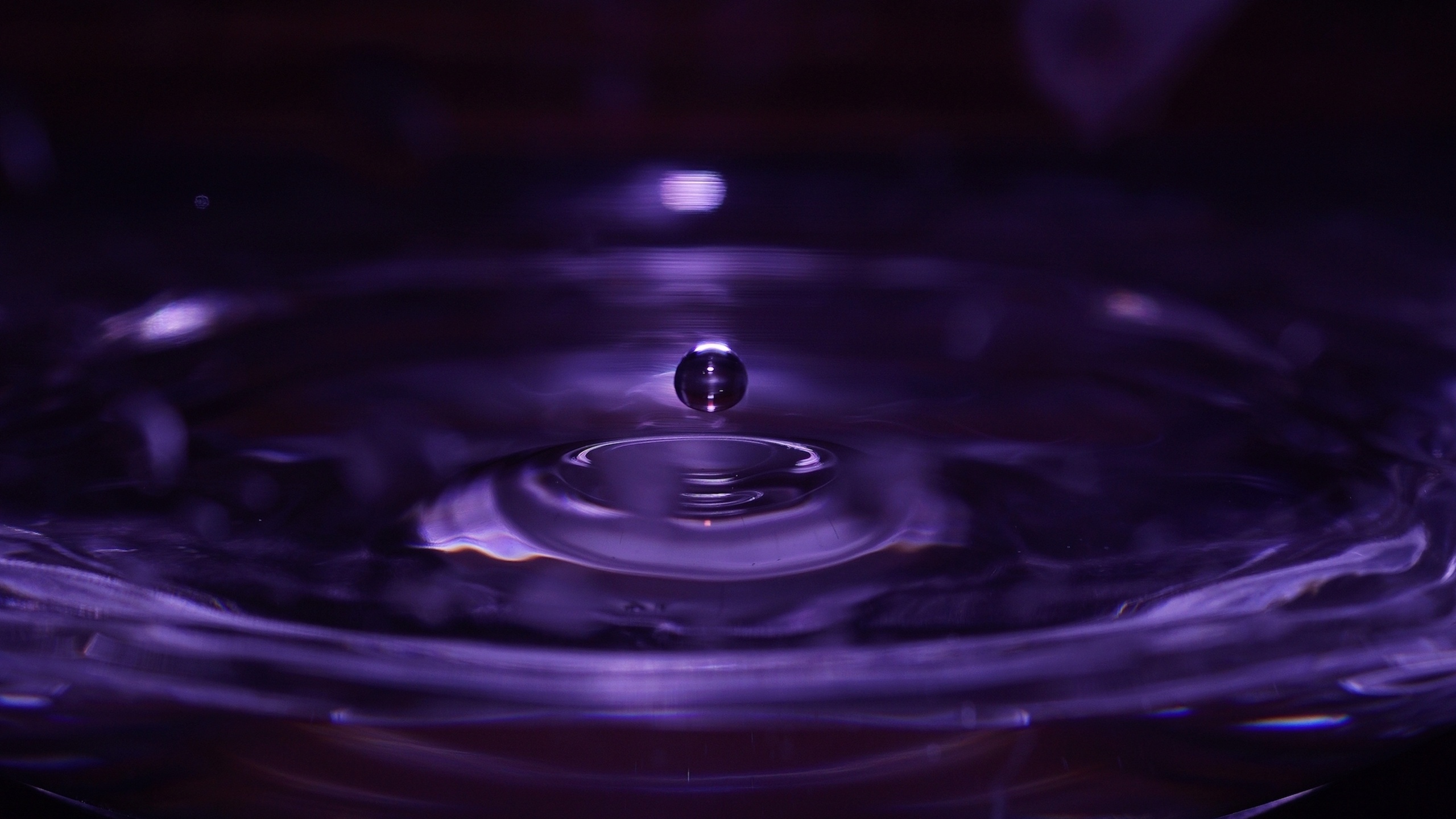 Purple Water Drops Abstract - HD Wallpaper 