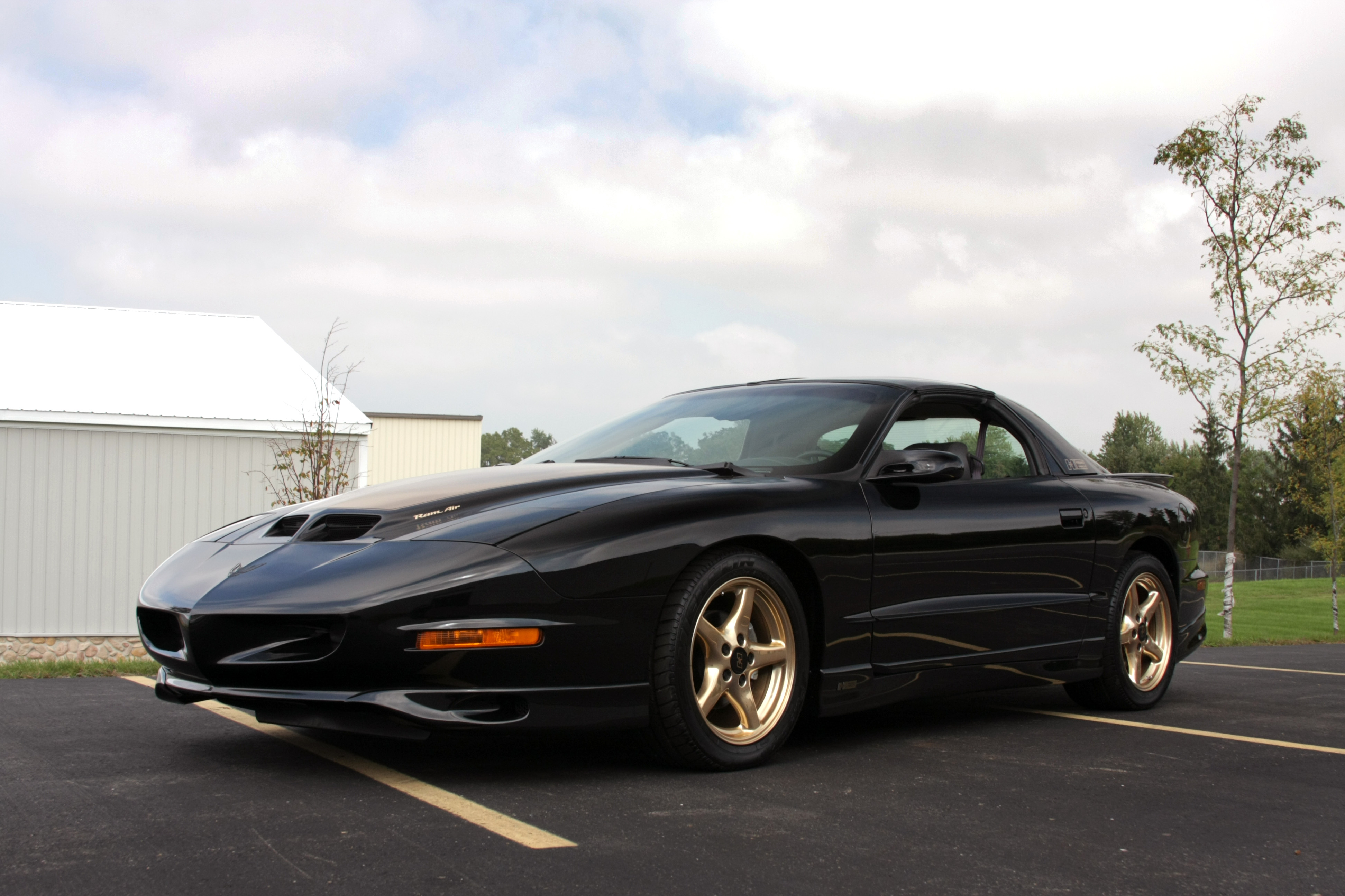 Pontiac Wallpaper - Trans Am With Gold Wheels - HD Wallpaper 