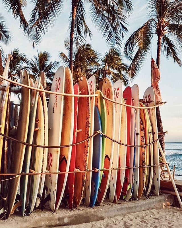 Hawaii Windsurf And Beach - Surfing Hawaii Aesthetic - HD Wallpaper 