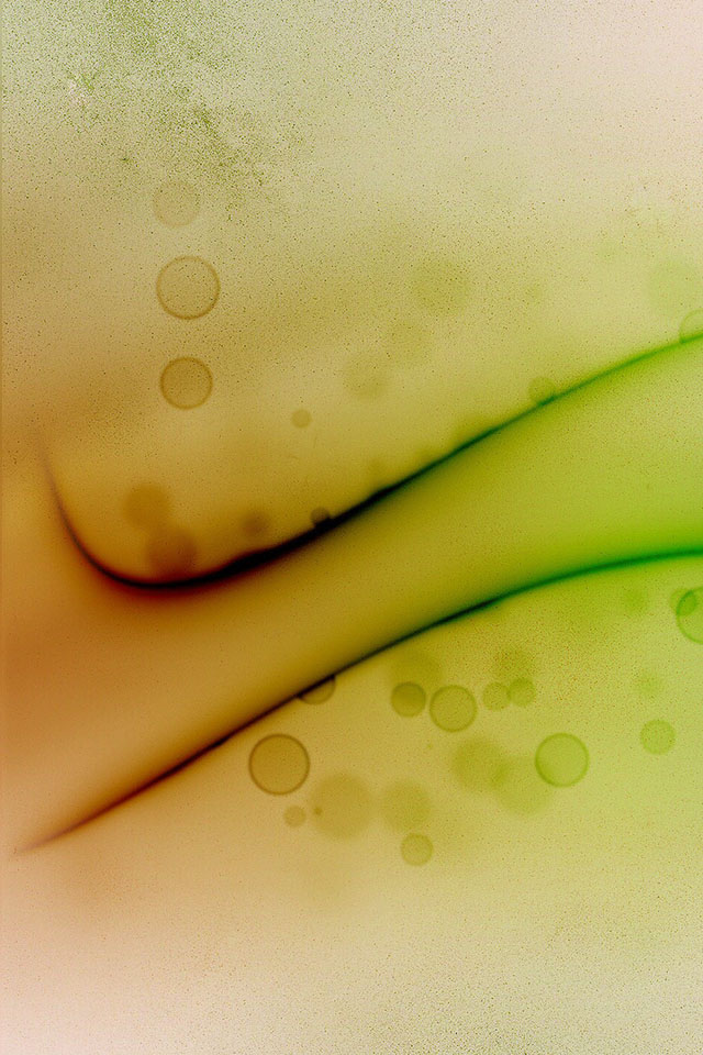 Wallpaper - HD Wallpaper 