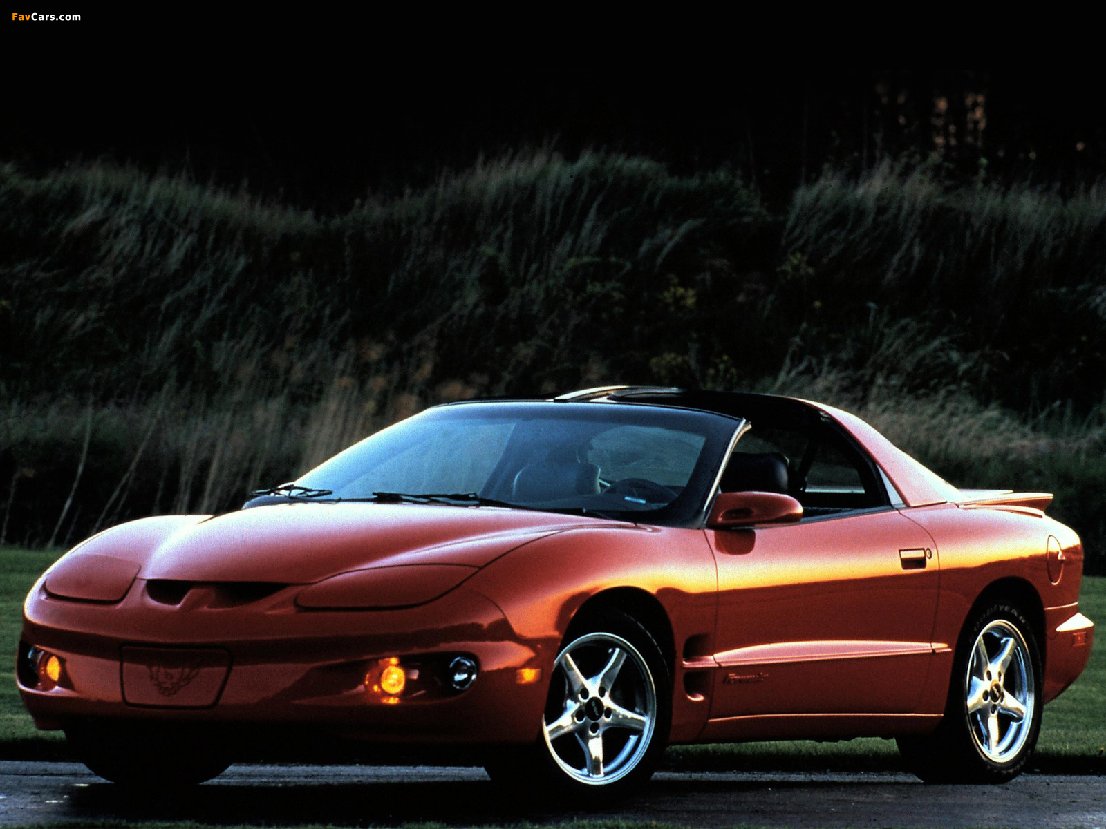 Pontiac Firebird Formula 1999 Wallpapers - 1998 Pontiac Firebird Ttop - HD Wallpaper 