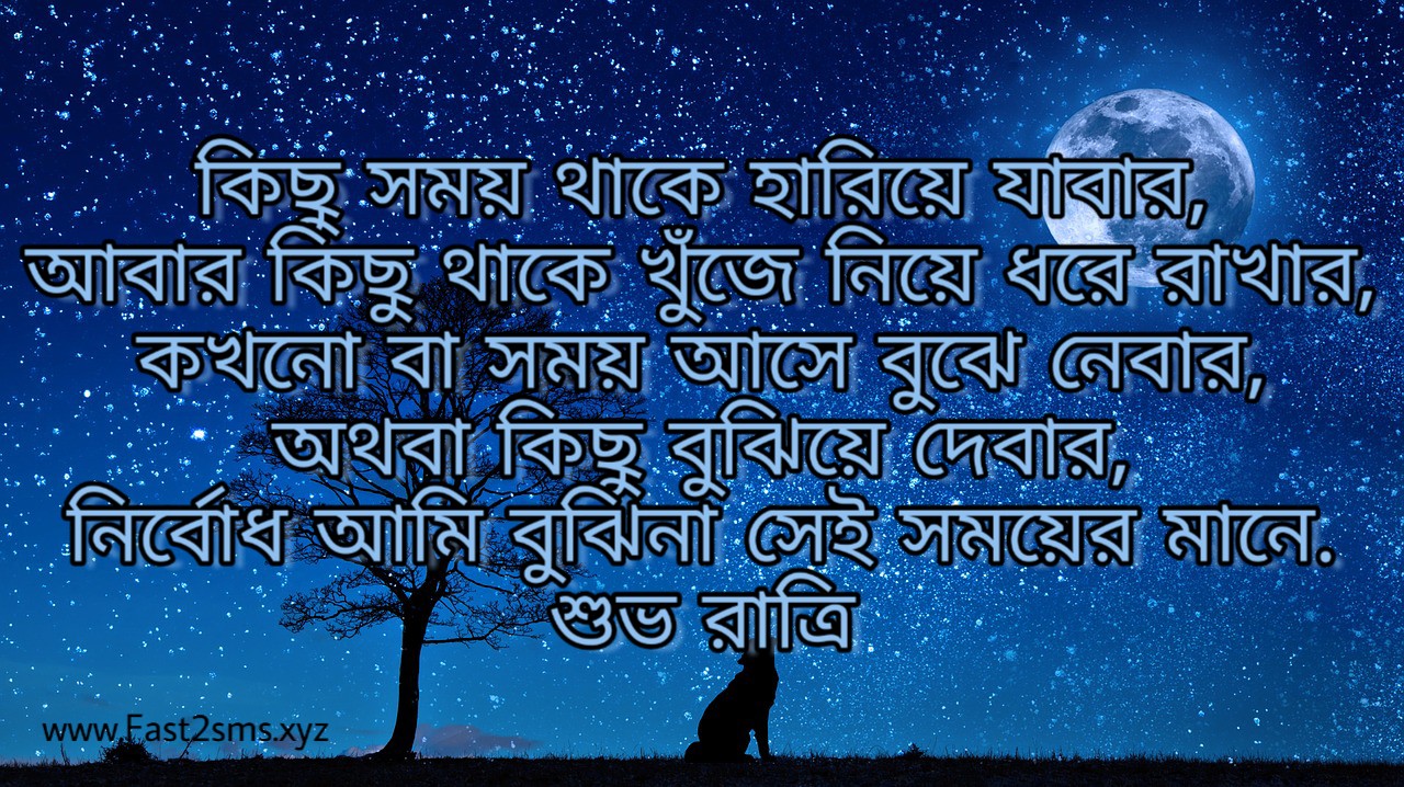 Bengali Good Night Image - Bengali Good Night Quotes - HD Wallpaper 