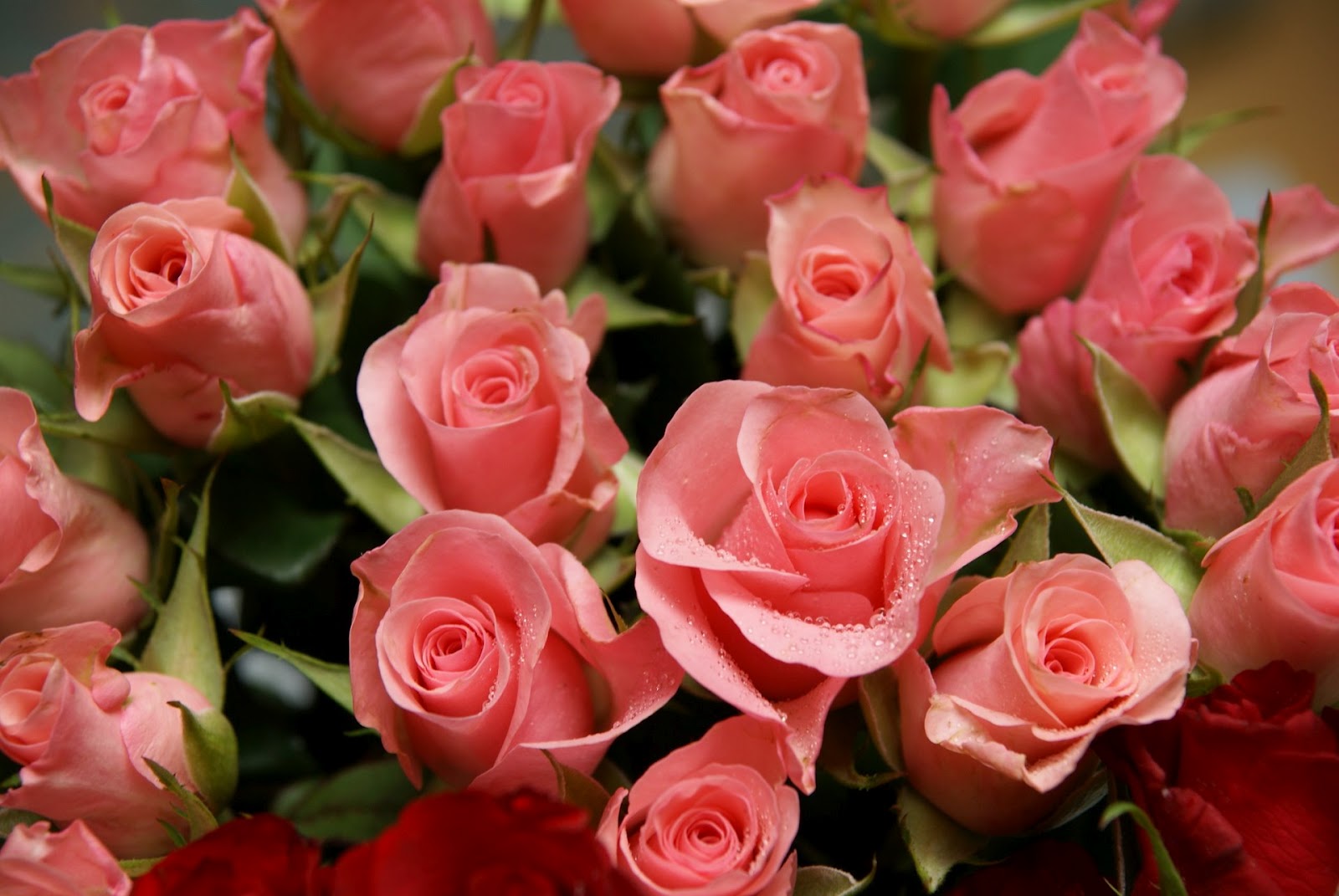 Bouquet Of Roses - HD Wallpaper 