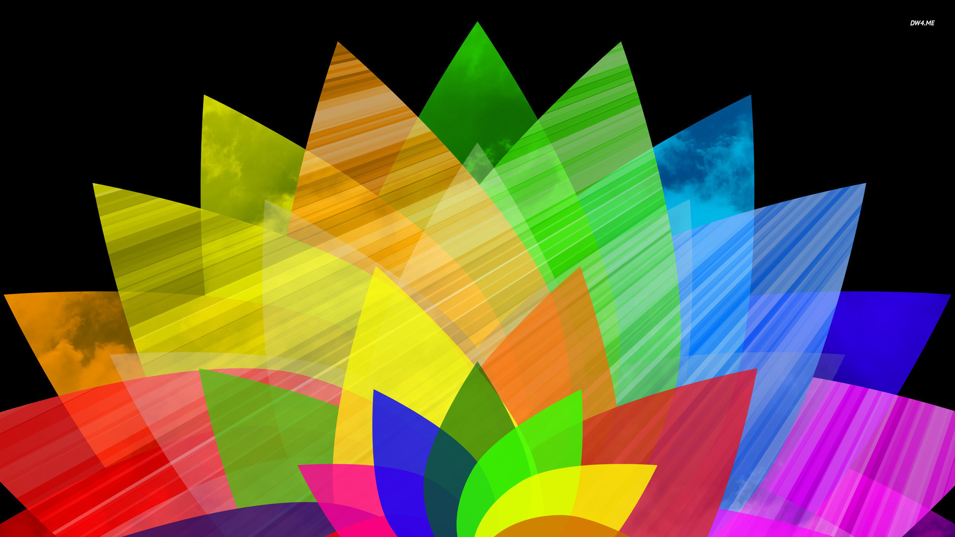 Colourful Flower Wallpaper Hd Wallpapers Pretty 
 Data-src - Wallpaper - HD Wallpaper 