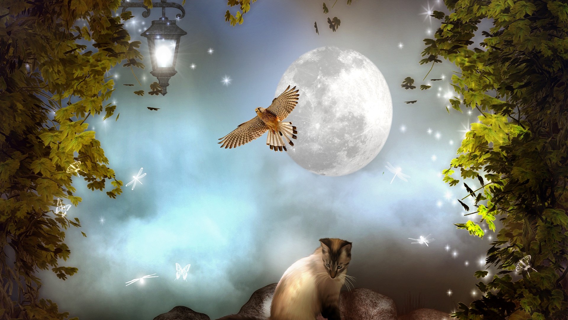 Beautiful Good Night 3d - HD Wallpaper 