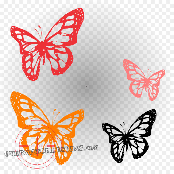 Desktop Wallpaper Monarch Butterfly Peach Flower - Monarch Butterfly - HD Wallpaper 