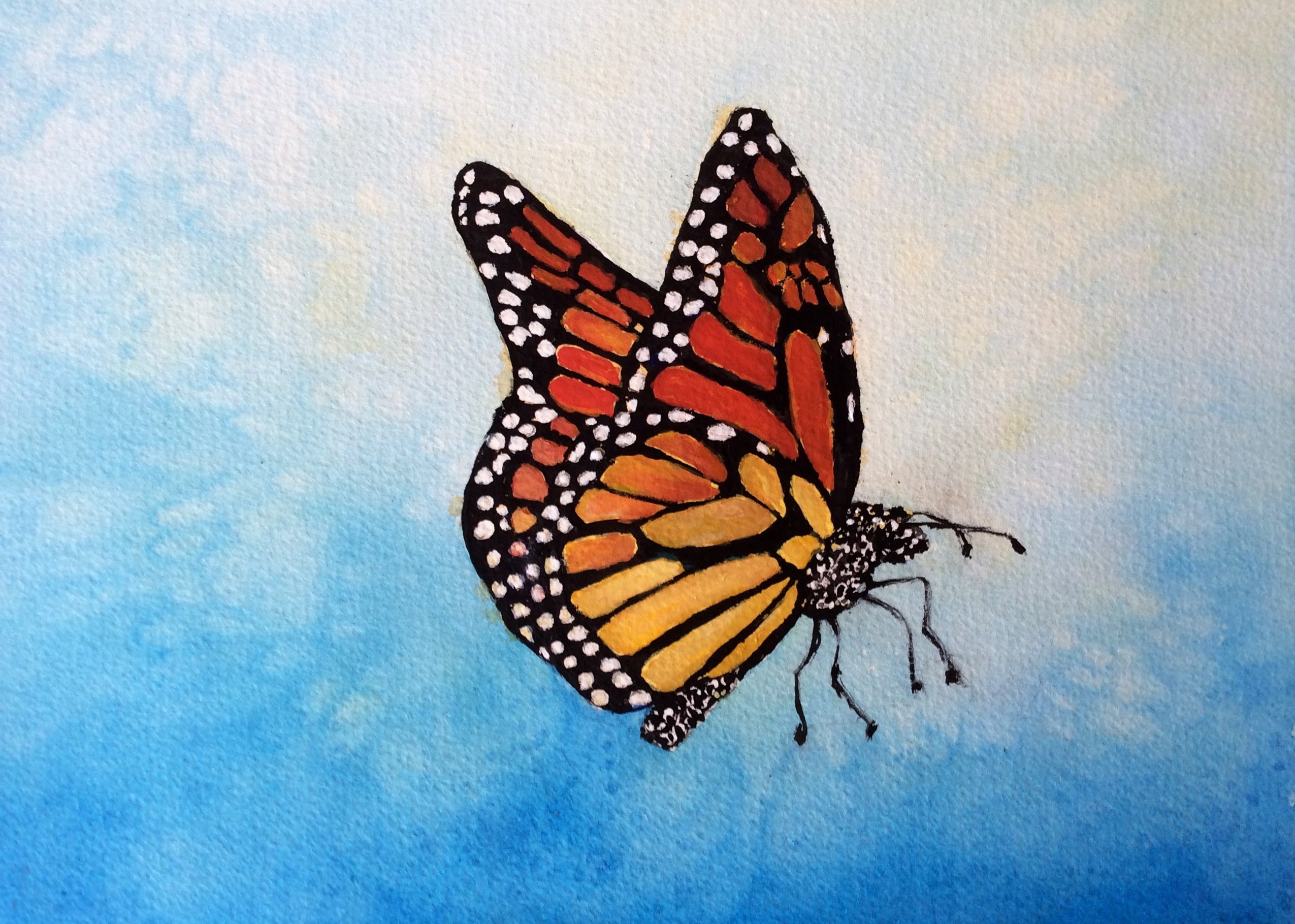 Easy Painting Butterfly Step By Step - HD Wallpaper 