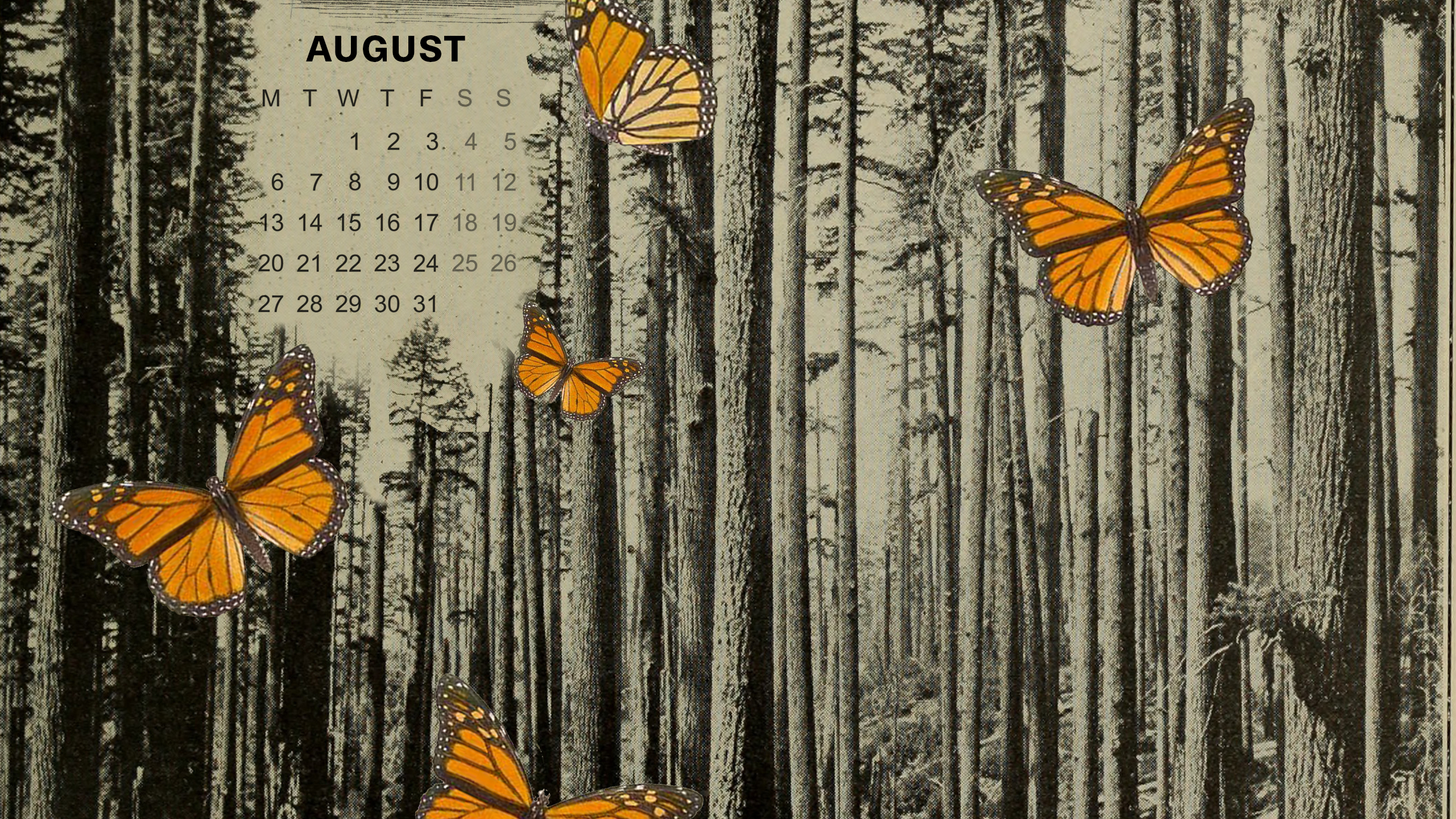 Monarch Butterfly - HD Wallpaper 