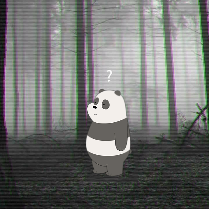 Forest - HD Wallpaper 