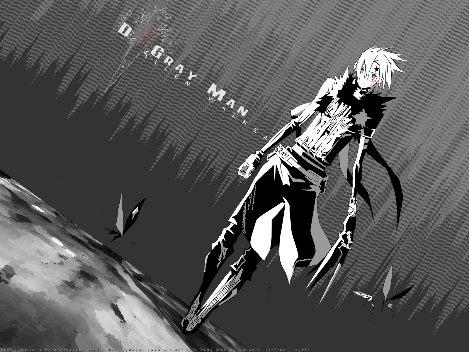 Katsura Hoshino, Tms Entertainment, D Gray-man, Crown - Allen Walker Wallpaper D Gray Man - HD Wallpaper 