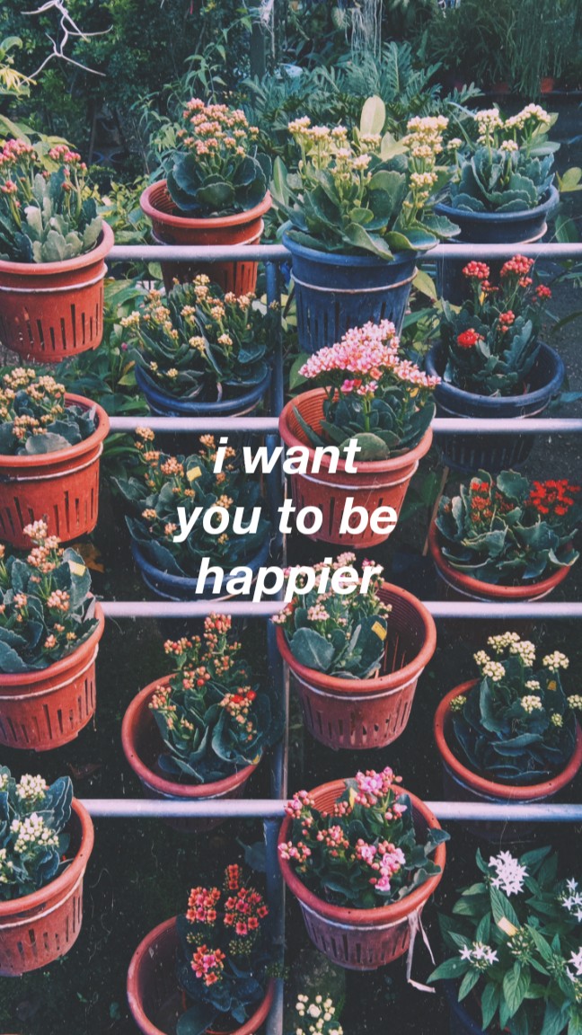 Quotes, Photography And Bastille - Rose - HD Wallpaper 