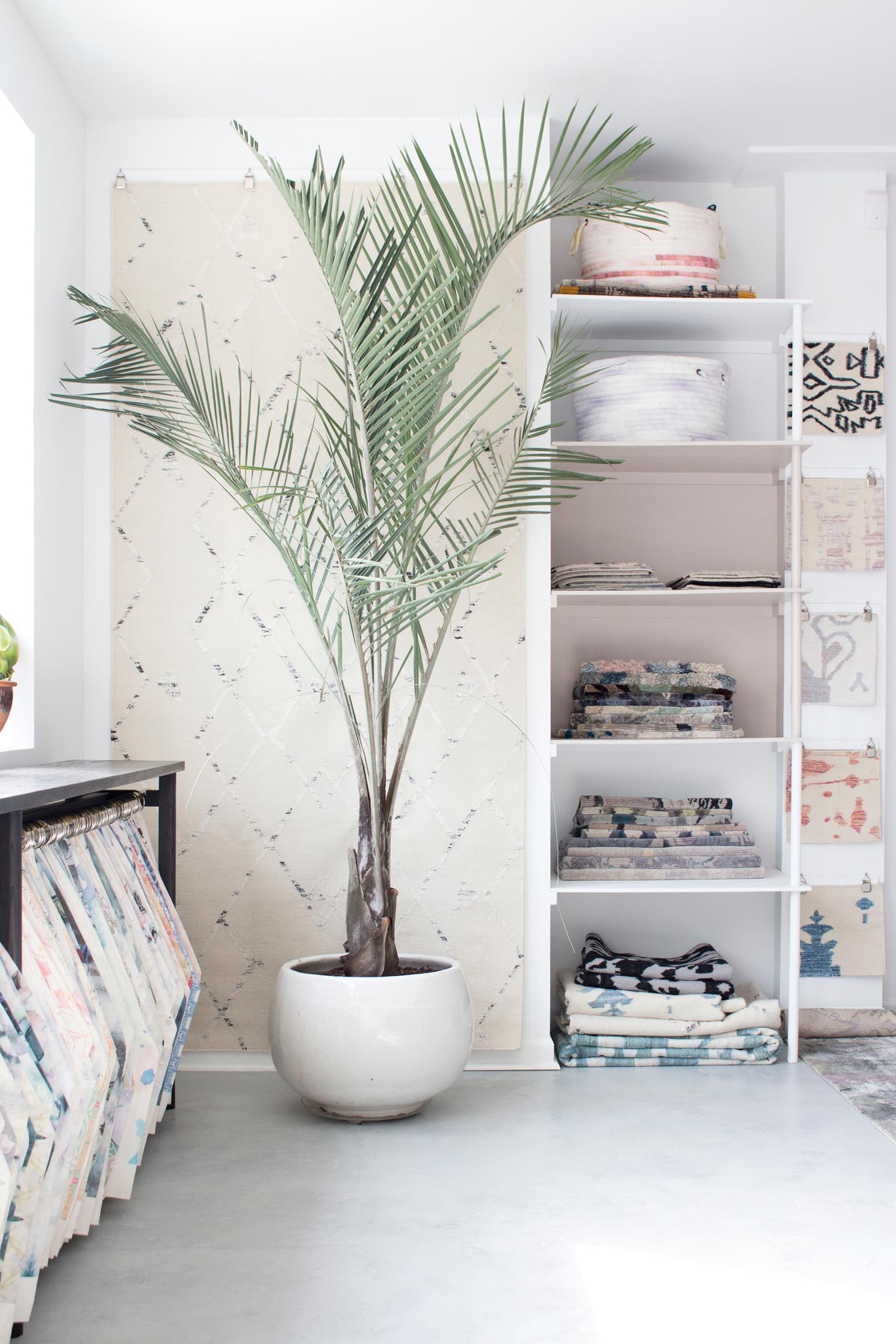 Carpets Eskayel Fabric Interior Shanan Campanaro Showroom - Houseplant - HD Wallpaper 