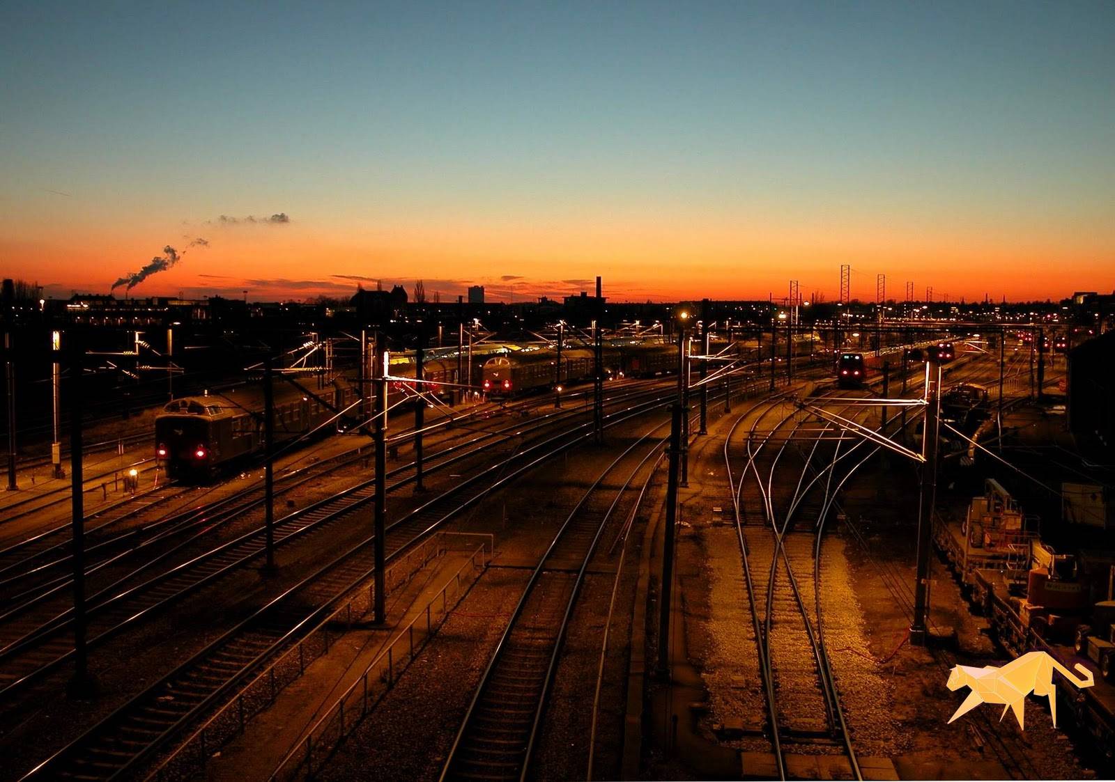 10 Ocelot Wallpaper - Ubuntu 11.10 - HD Wallpaper 