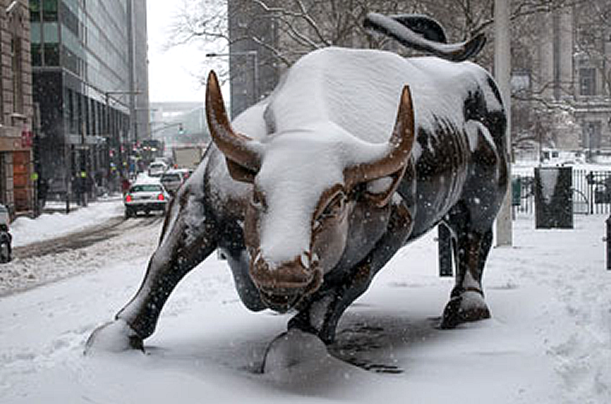 Bull Snow Wall Street - HD Wallpaper 