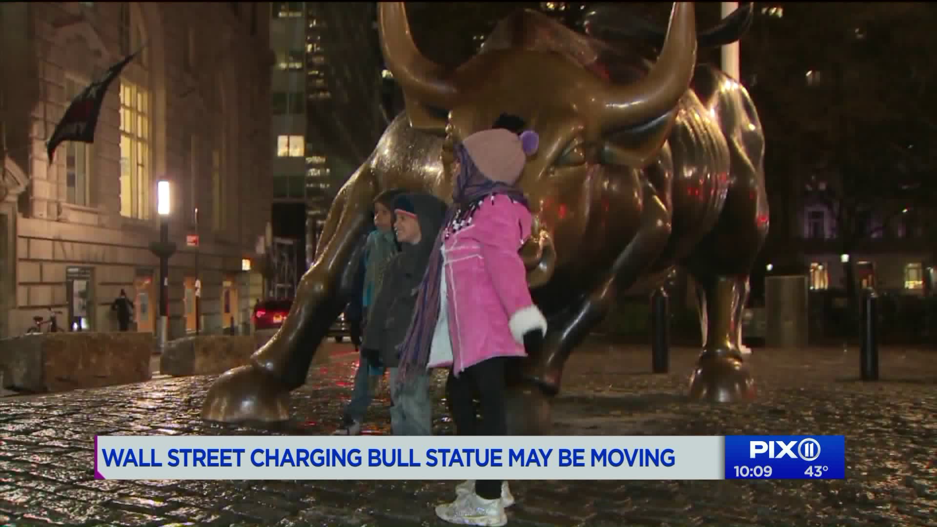 Items - [0] - Videotitle - Bull - HD Wallpaper 