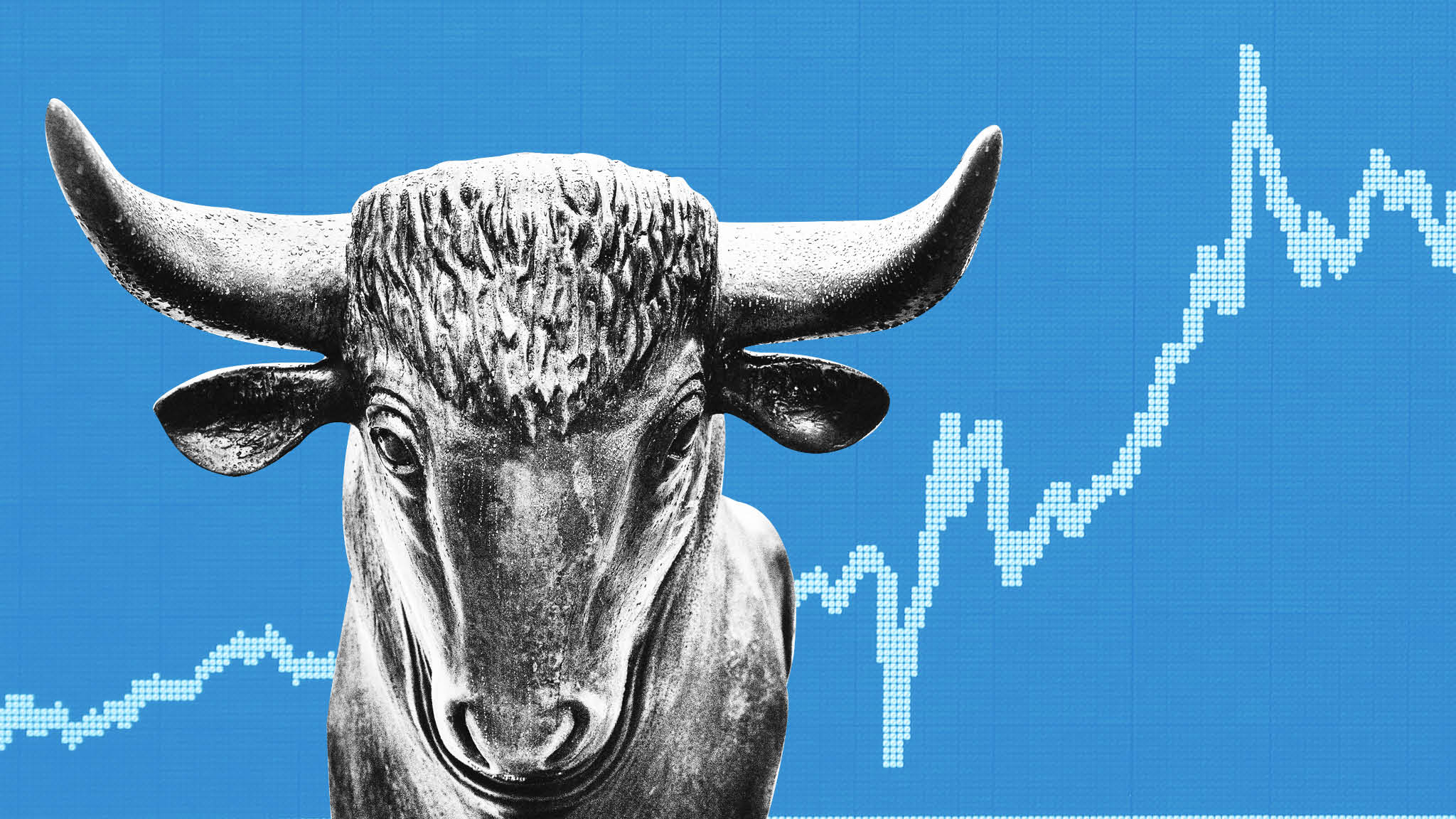 Hedge Fund - HD Wallpaper 