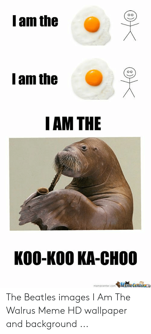 Meme, The Beatles, And Beatles - Iz Da Walrus Goo Goo G Joob - HD Wallpaper 