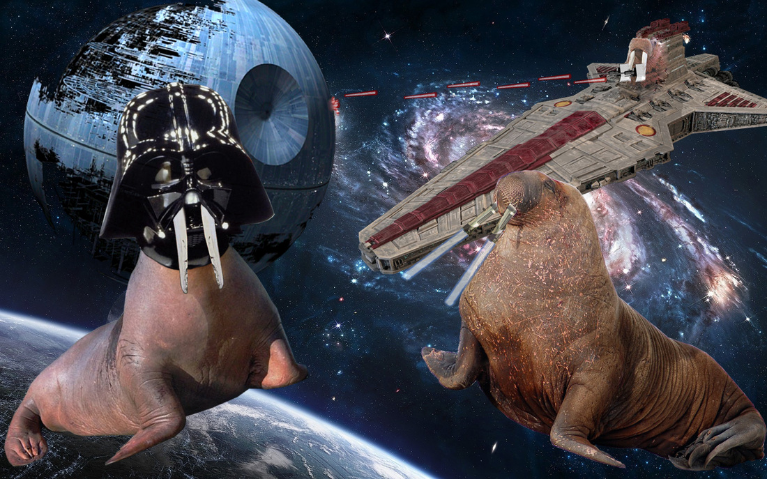 Galaxy High Resolution Space - HD Wallpaper 