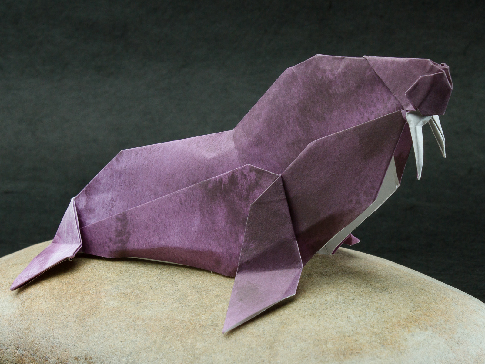 Walrus Origami - HD Wallpaper 