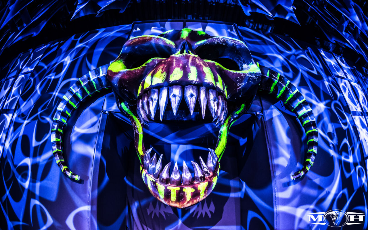 Skull - HD Wallpaper 