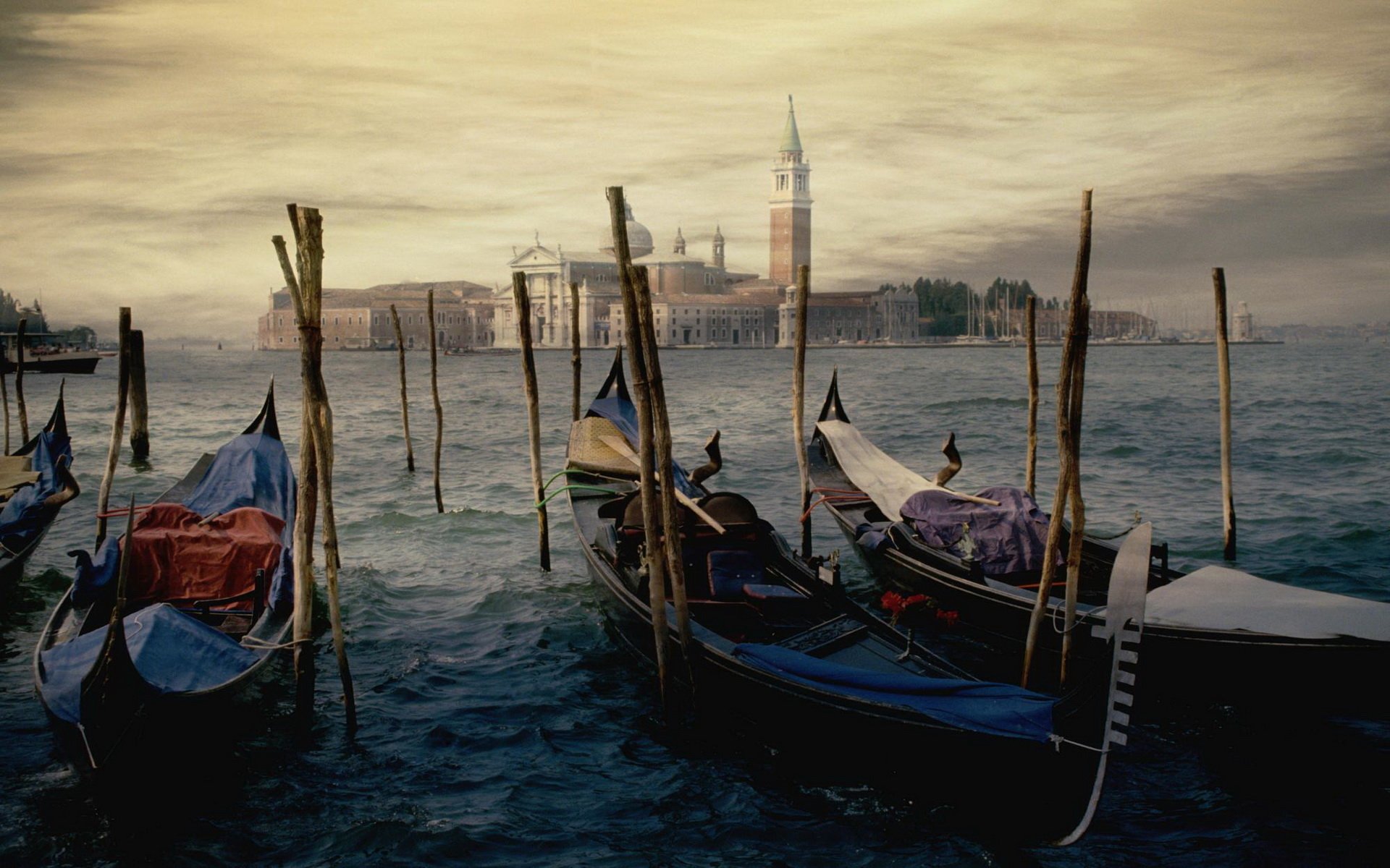 Wallpaper - HD Wallpaper 