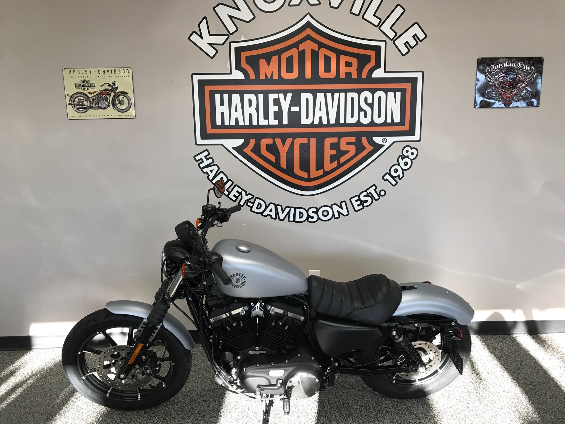 Harley Davidson Decals - HD Wallpaper 