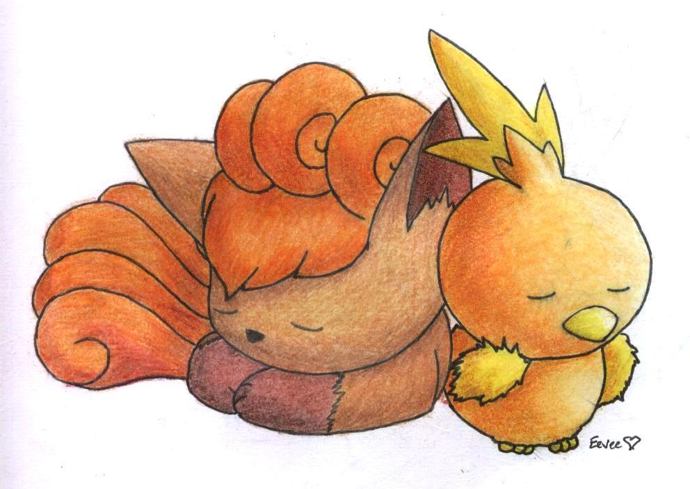 Vulpix And Torchic - Pokemon Vulpix - HD Wallpaper 