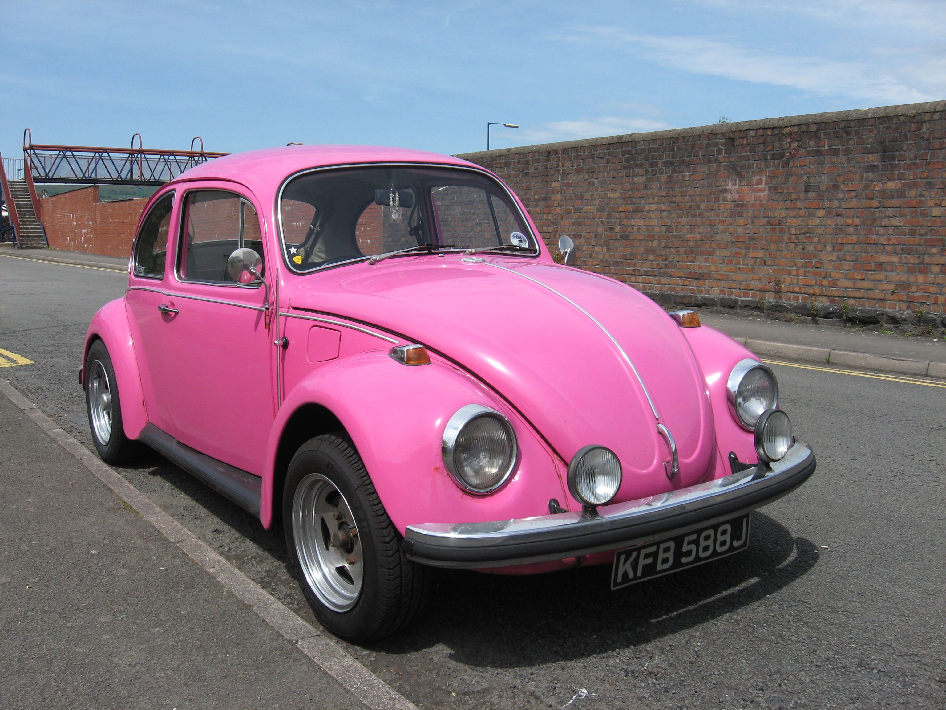 Pink Beetle - HD Wallpaper 