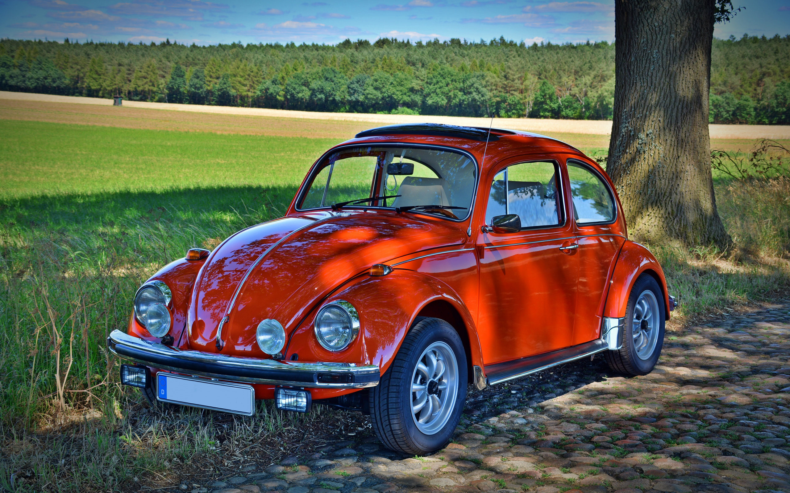 Classic Red Volkswagen Beetle - HD Wallpaper 