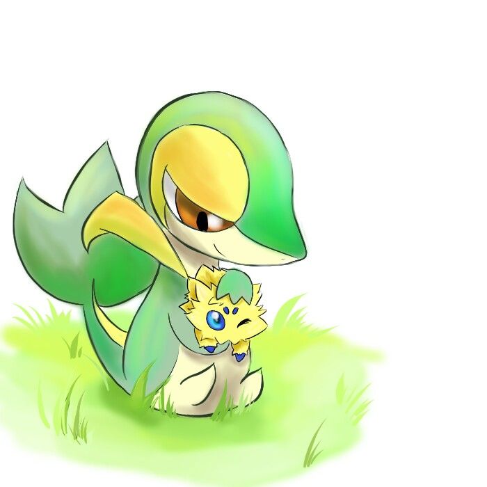 Snivy Cute - HD Wallpaper 