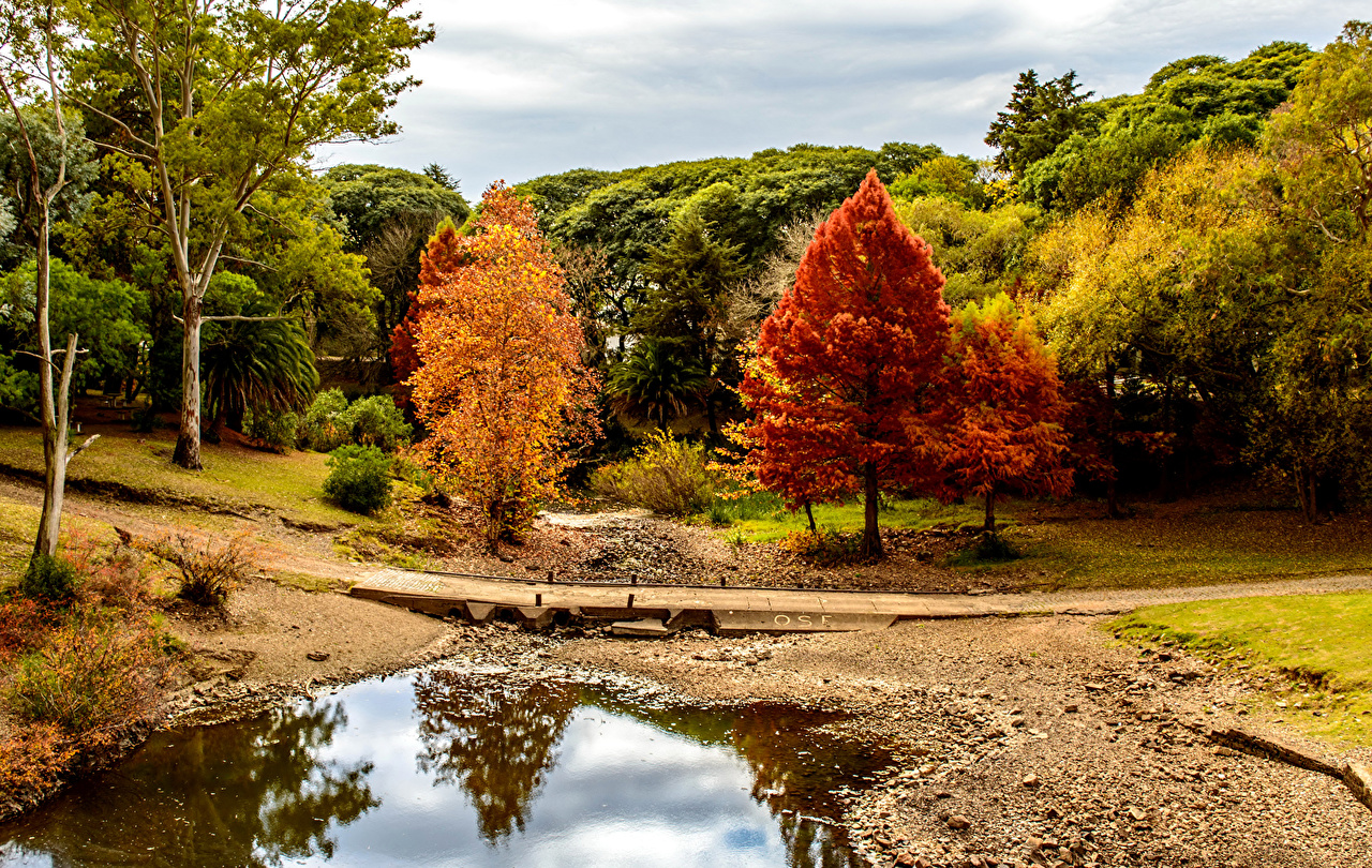 Uruguay Autumn - HD Wallpaper 
