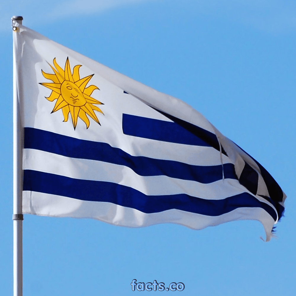 Hd Quality Wallpaper - Uruguay Flag - HD Wallpaper 
