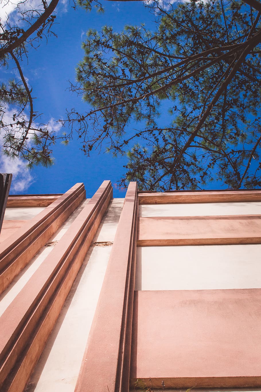 Uruguay, Montevideo Department, Tree, Lines, Architecture, - Architecture - HD Wallpaper 