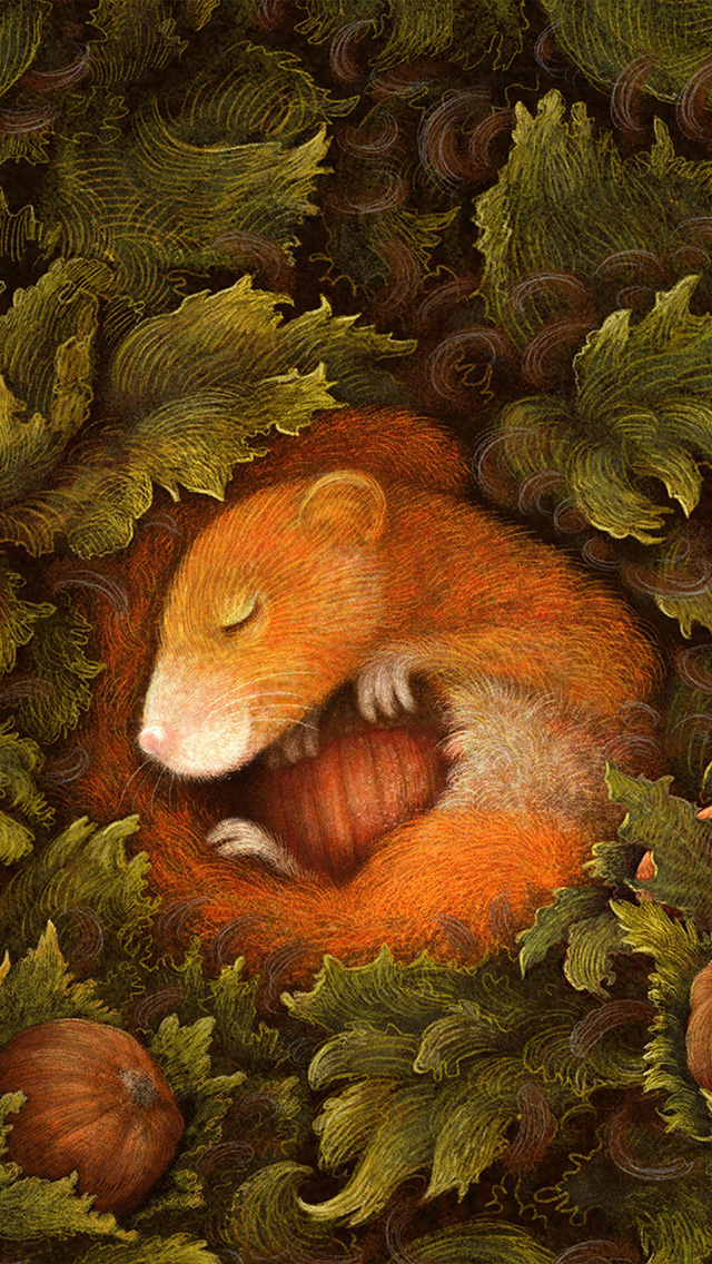 Capybara Wallpaper - HD Wallpaper 