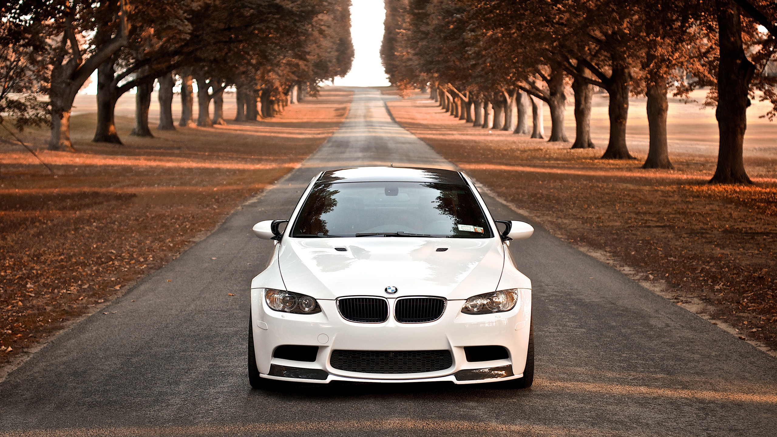 Bmw M3 Branca Na Estrada - Bmw Wallpapers Hd - HD Wallpaper 