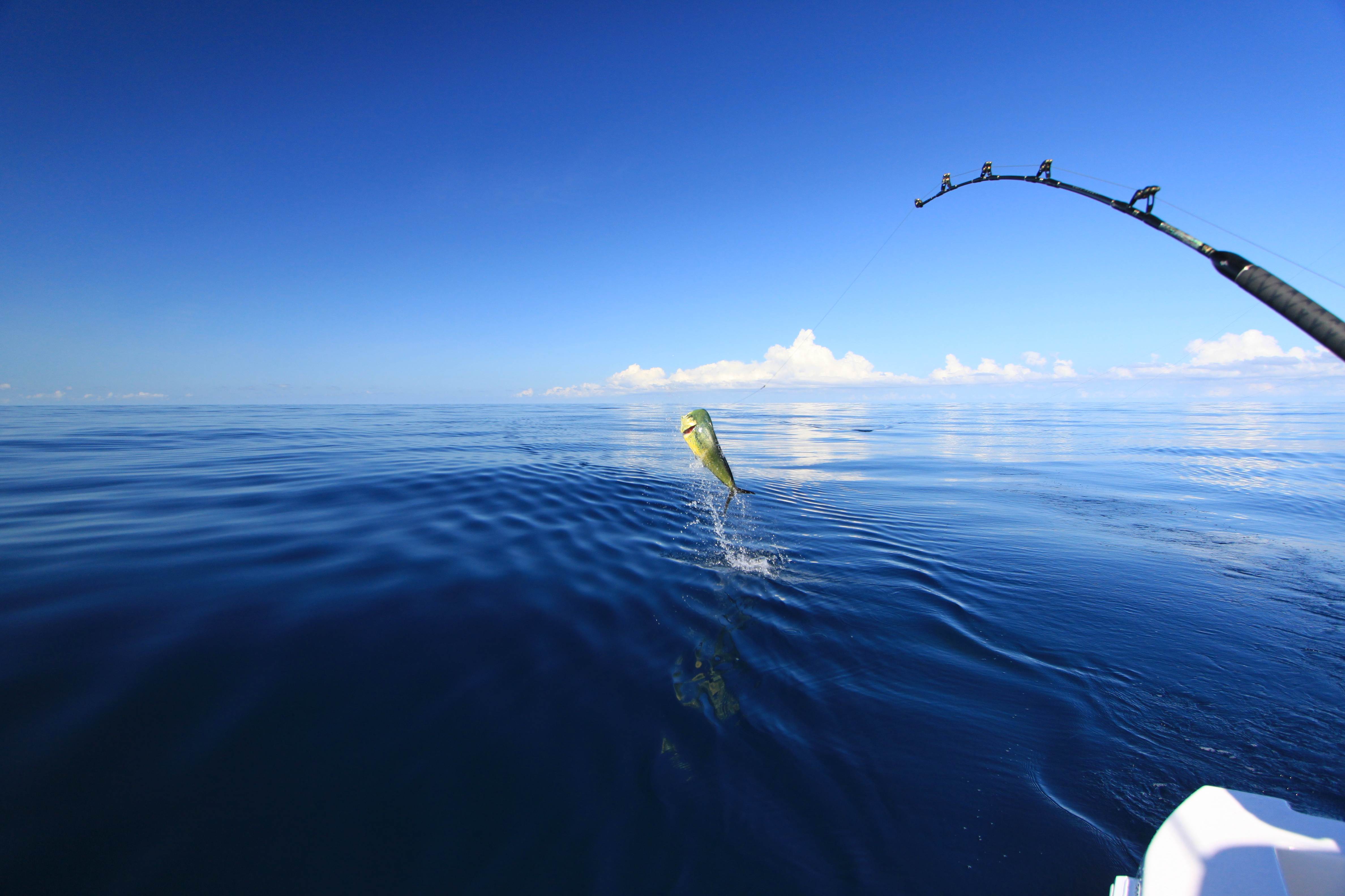 Sportfishing Quepos - HD Wallpaper 