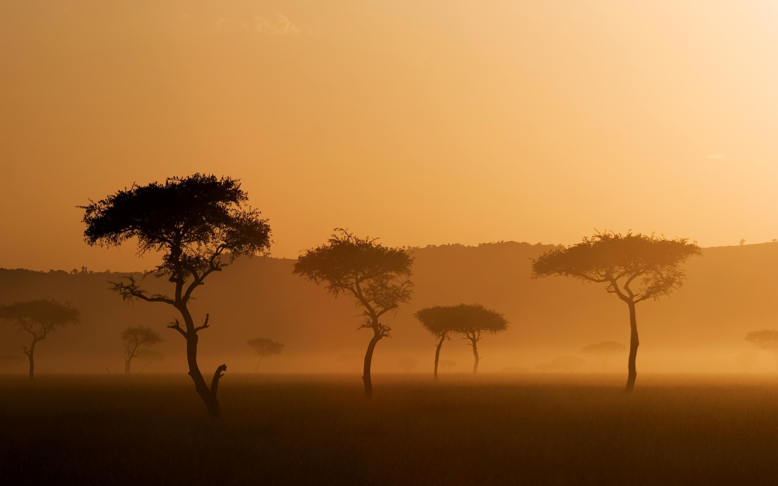 Savannah - African Savanna Background Hd - HD Wallpaper 