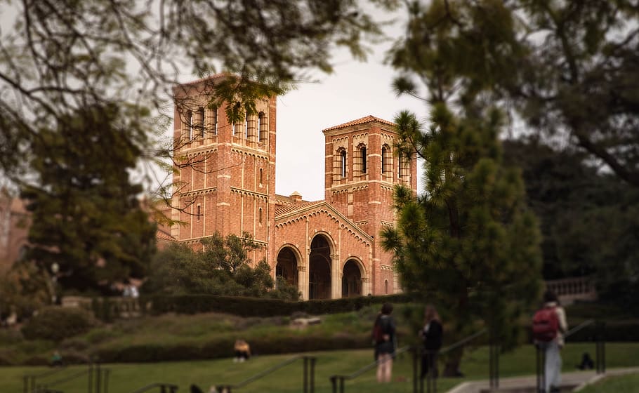 College, Ucla, California, America, Castle, School, - HD Wallpaper 