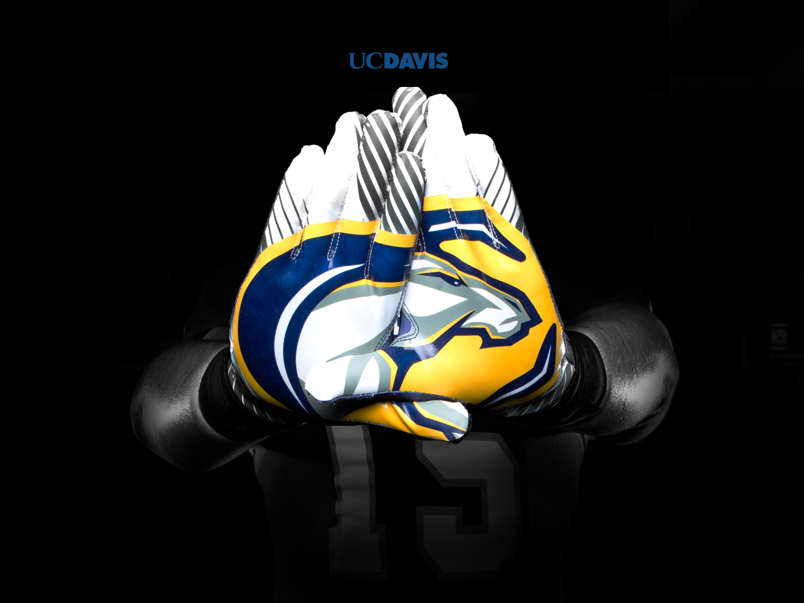 Uc Davis Athletics Wallpaper & Cover Photos - Lacrosse Wallpaper Mobile - HD Wallpaper 