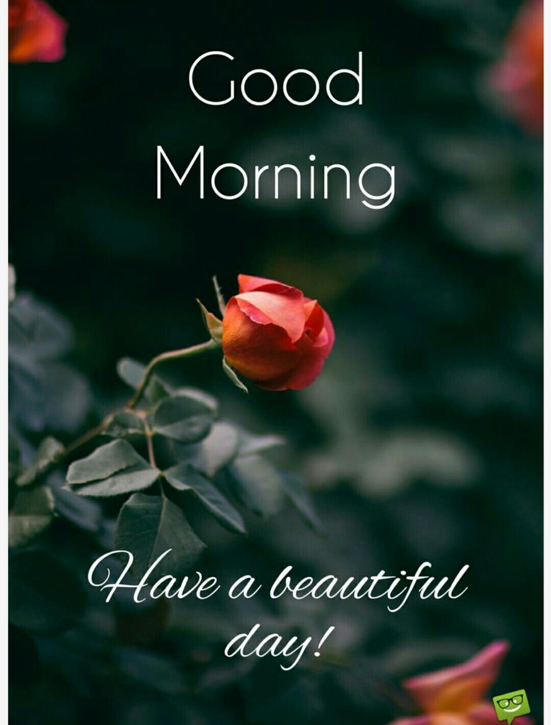 Beautiful Good Morning Wishes - 1080x1421 Wallpaper - teahub.io