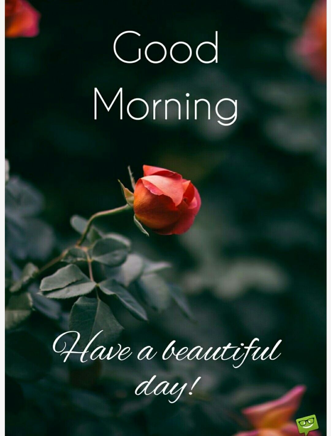 Beautiful Good Morning Wishes - HD Wallpaper 