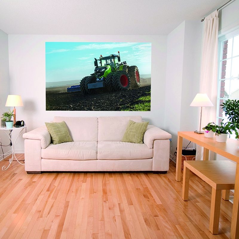 Anubis Adesivo Parede - HD Wallpaper 