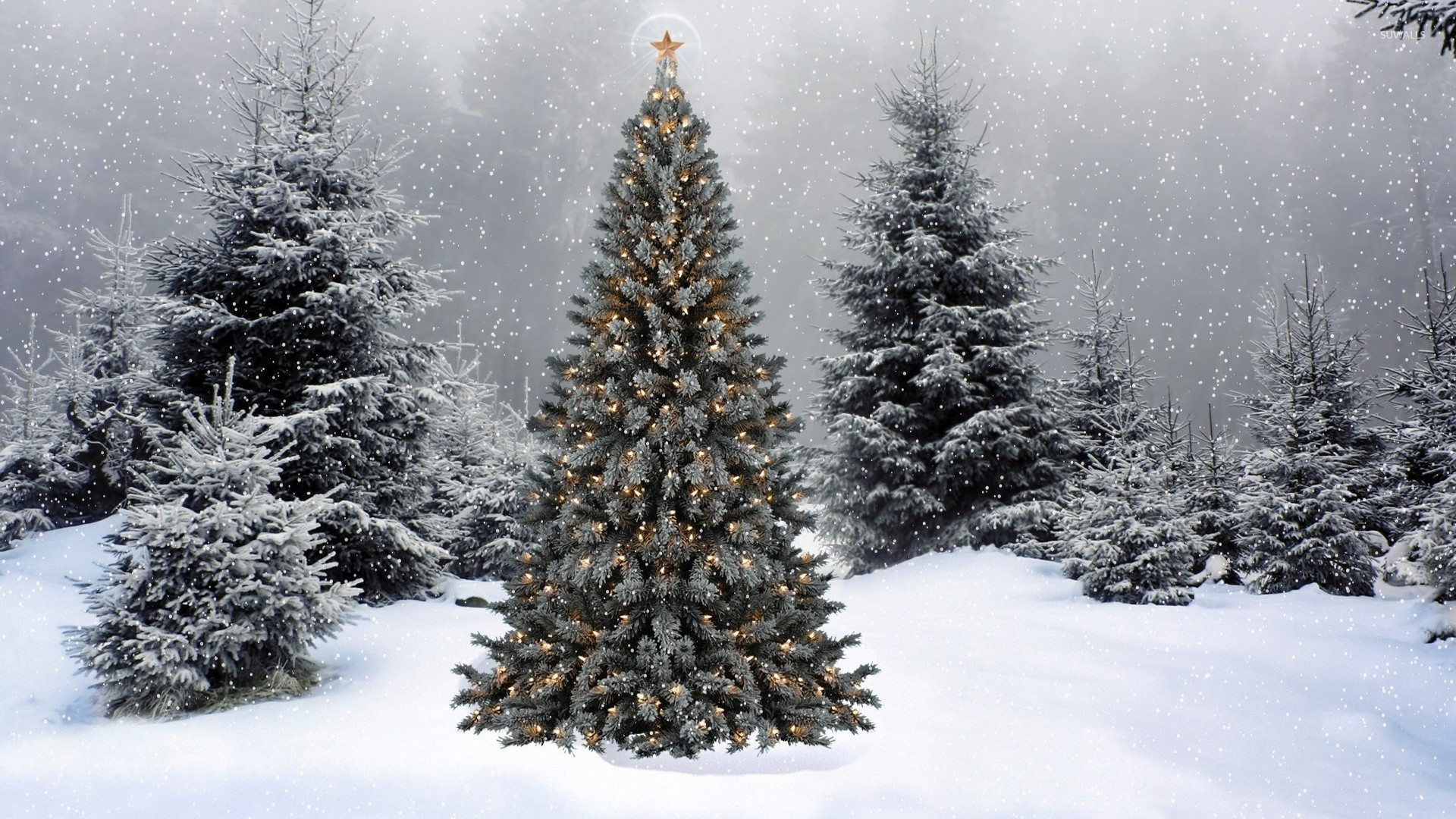 Snow Christmas Tree Background - HD Wallpaper 