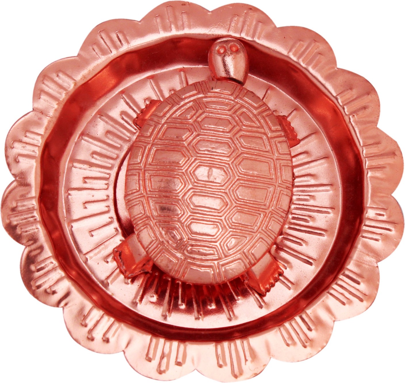 Tortoise - HD Wallpaper 