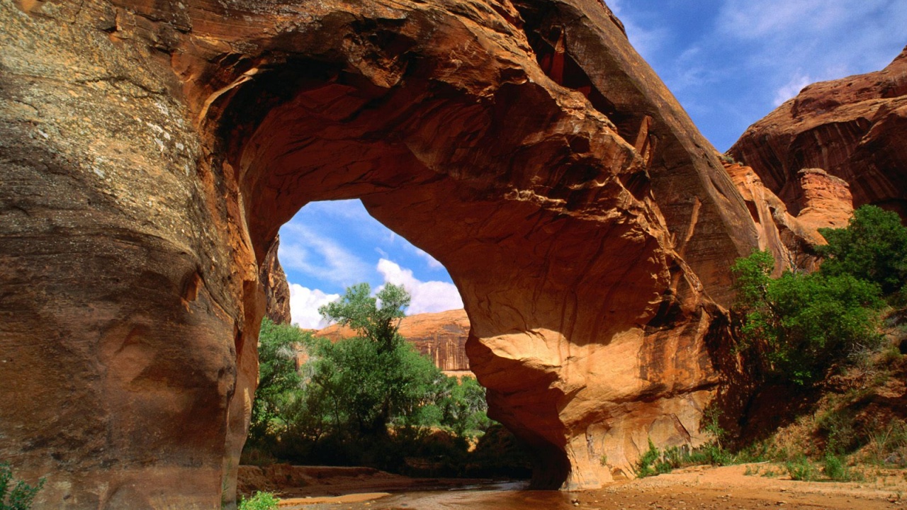 Natural Full Screen - HD Wallpaper 